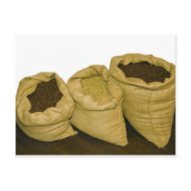 coffee beans in burlap sack postcard