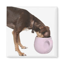coffee break magnets by deemac1 coffee break magnets