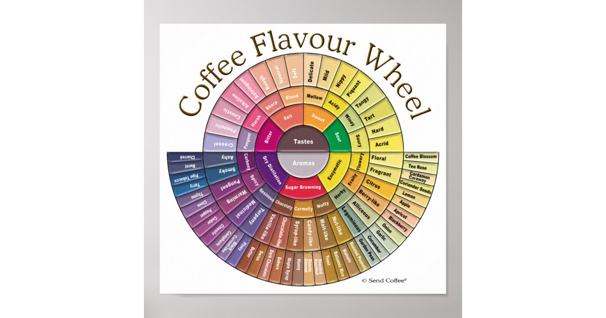 Coffee Flavour Wheel Wall Art Zazzle