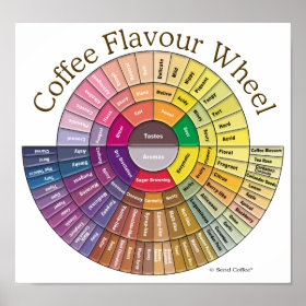 Coffee Flavour Wheel Wall Art Posters