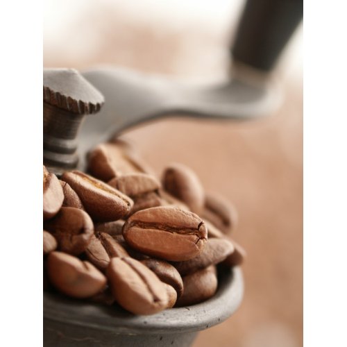 Coffee Grinder print