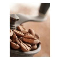 Coffee Grinder posters