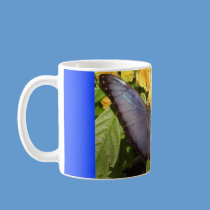 Coffee Mug - Beautiful Blue Butterfly mugs