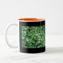 Coffee Mug - Miner's Lettuce zazzle_mug