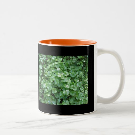 Coffee Mug - Miner's Lettuce
