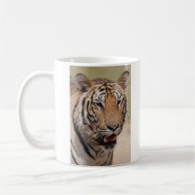 Coffee Mug - Thailand Tiger