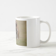 Coffee Mug - Tiger 3 - Thailand Tiger Temple