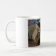 Coffee Mug - Tiger Cub from Thailand Tiger Temple