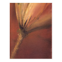 coffee post cards