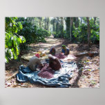 Coffee Workers Sorting Cherries posters