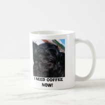 COFFEEHAMISH, I NEED COFFEE NOW! mugs
