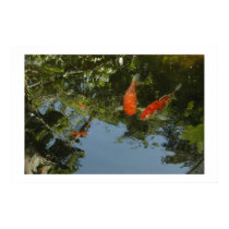 Coi Pond posters by mtcann Coi Pond posters