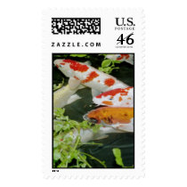 Coi swimming a water garden postage by Jack_of_Arts Coi swimming a water garden postage