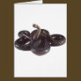 Coiled and Ready to Strike Snake