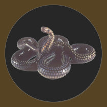 Coiled and Ready to Strike Snake stickers
