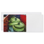 Coiled Fire Hoses rack cards
