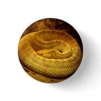 Coiled Snake buttons by pattyrodz Coiled Snake buttons