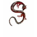 Coiled To Strike Dragon Asian Tattoo Fantasy Shirt