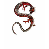 Coiled To Strike Dragon Asian Tattoo Fantasy Shirt by sexyshirts2 Coiled To Strike Dragon Asian Tattoo Fantasy Shirt