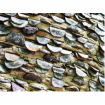 Coins Hammered Into A Trunk photo sculptures by lifesphere Coins Hammered Into A Trunk photo sculptures