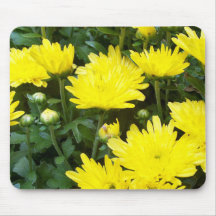 Cojín de ratón de la flor alfombrillas de ratones