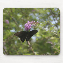 cojín de ratón de la mariposa alfombrillas de raton