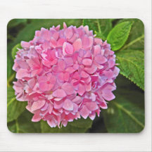 Cojín de ratón del Hydrangea Alfombrillas De Raton