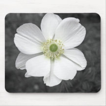cojín de ratón hermoso de la flor blanca alfombrilla de ratones