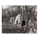 Coke Ovens-Dunlap Tennessee posters by bhbphotos Coke Ovens-Dunlap Tennessee posters
