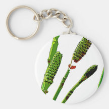 COLA DE CABALLO BY AES KEY CHAIN