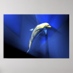 Cold And All Alone posters