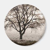 cold and lovely fridge magnet