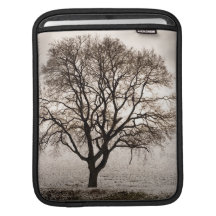 cold and lovely iPad sleeves
