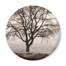 cold and lovely fridge magnet