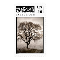 cold and lovely stamps
