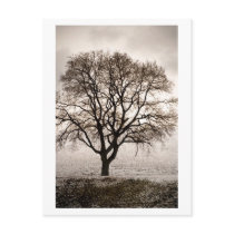 cold and lovely post cards