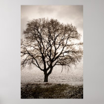 cold and lovely print