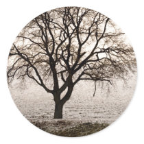 cold and lovely stickers by blacqbook cold and lovely stickers