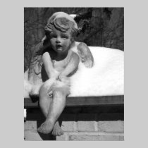 Cold Angel posters