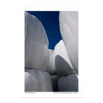 Cold as ice posters