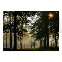 Cold Harbor cards