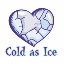 cold ice heart photo sculptures