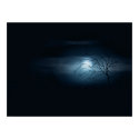 Cold Night posters