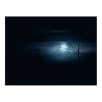 Cold Night posters by softshapeart Cold Night posters