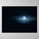 Cold Night posters