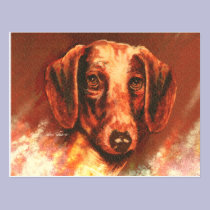 Cold Nose and Warm Heart postcards