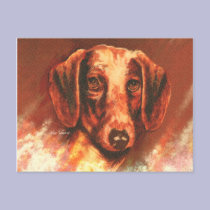 Cold Nose and Warm Heart postcards