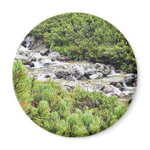 Cold Stream In High Tatras In Slovakia magnets