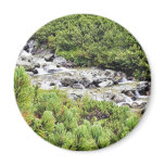 Cold Stream In High Tatras In Slovakia magnets