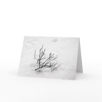 Cold Tree cards